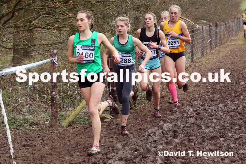 Womens under-17s, 2020 British Athletics Inter Counties Cross Country Champs., Prestwold Hall, Loughborough. Photo: David T. Hewitson/Sports for All Pics